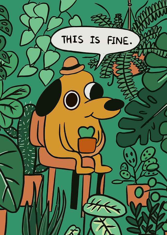This is Fine Dog in a Jungle