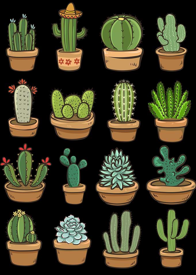 Hand Drawn Cute Cactus And Succulent Collection Set