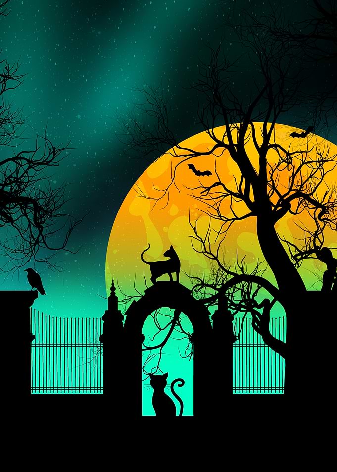Halloween Night with Cats and Bats