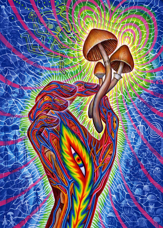 Psychedelic Hand Holding Mushrooms