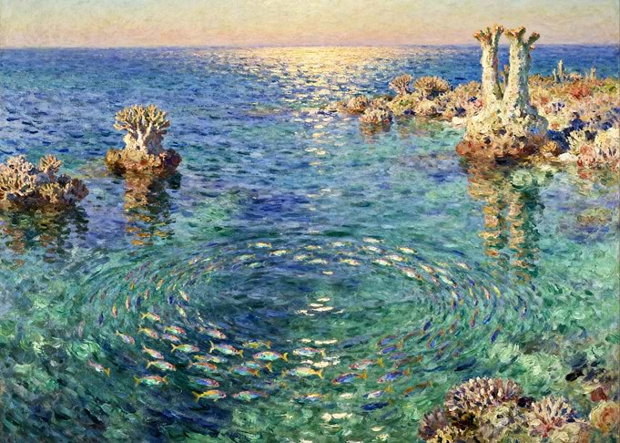 School of Fish in Coral Reef
