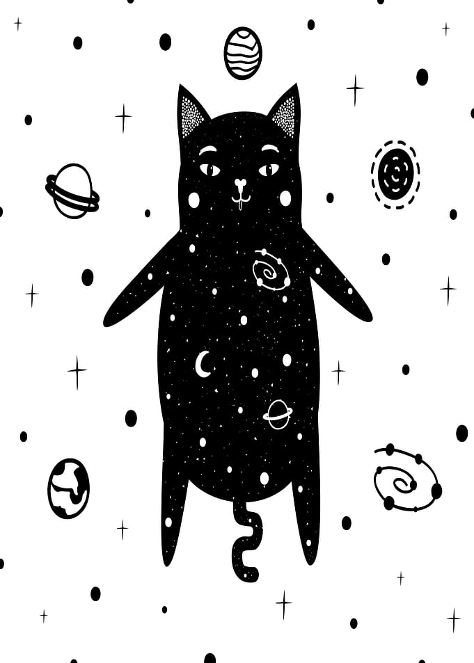 Cosmic Cat in Space