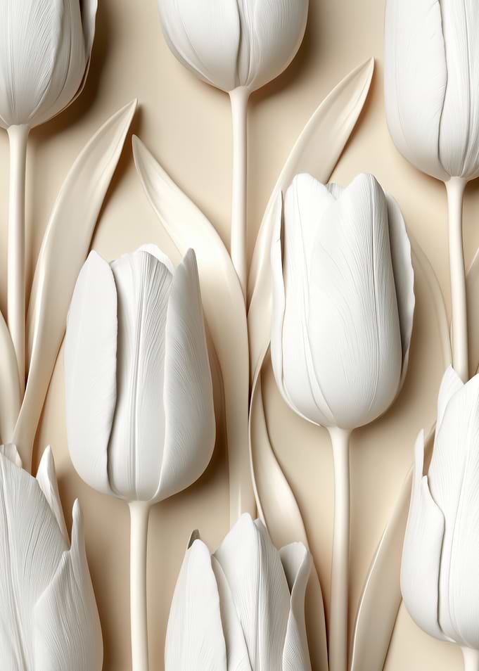 Monochromatic White Tulips