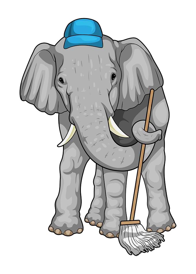 Elephant Cleaner Mop