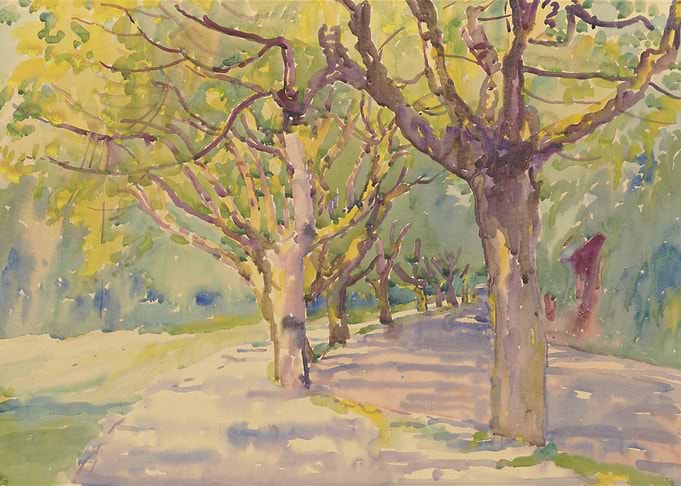 Tree-lined path in sunlight