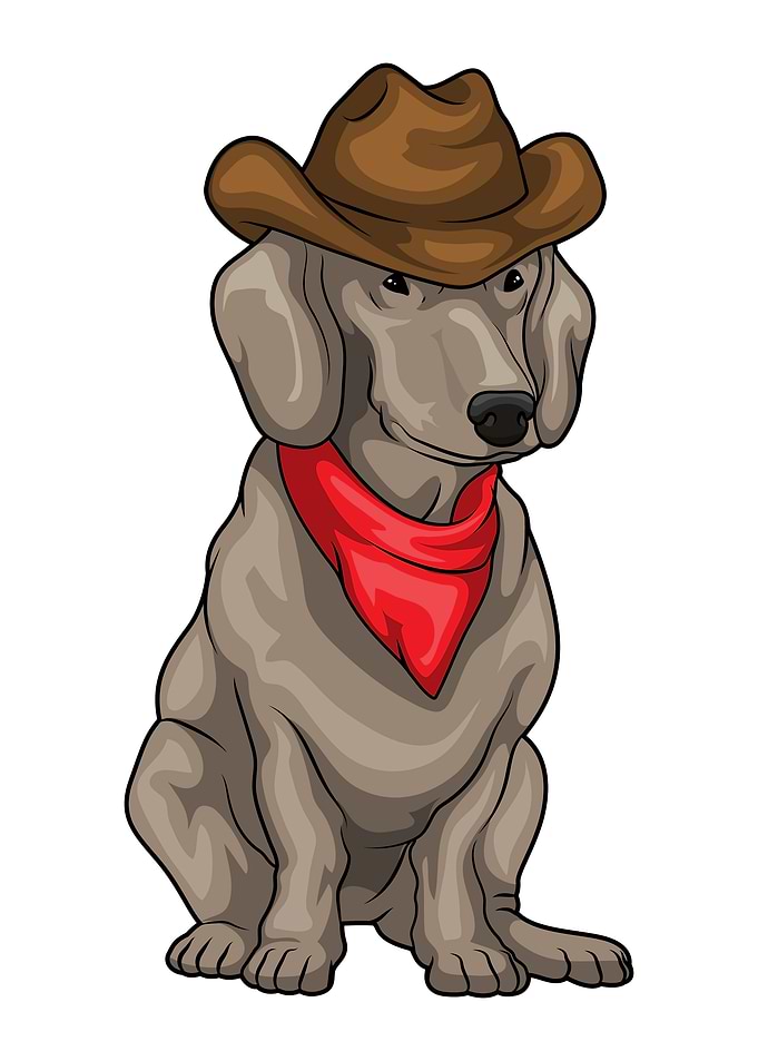 Dachshund Cowboy Scarf