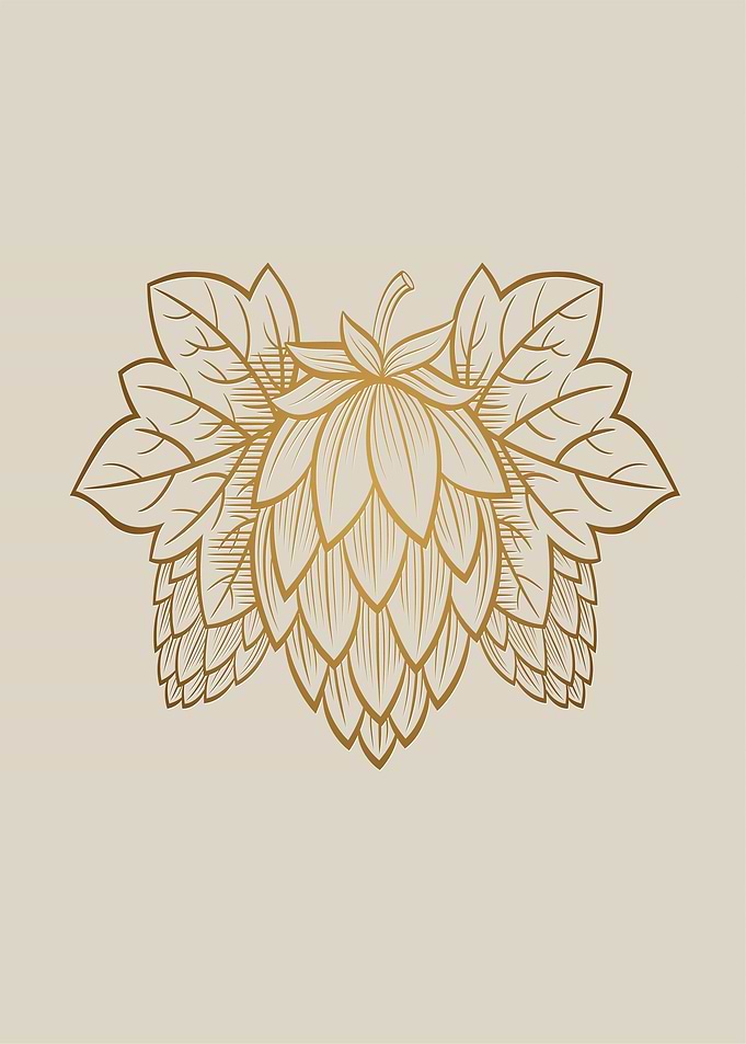 Golden Hop Cone Illustration