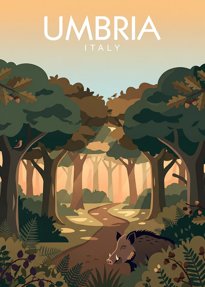 Umbria Italy Forest
