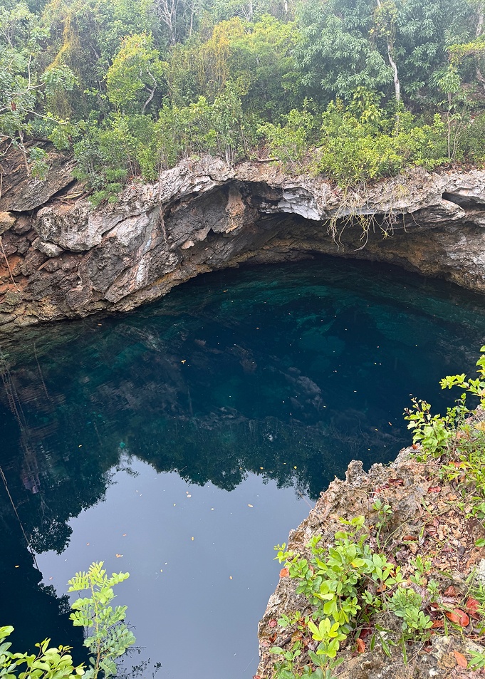 Deep Blue Waterhole Surrounded by Lush Greenery