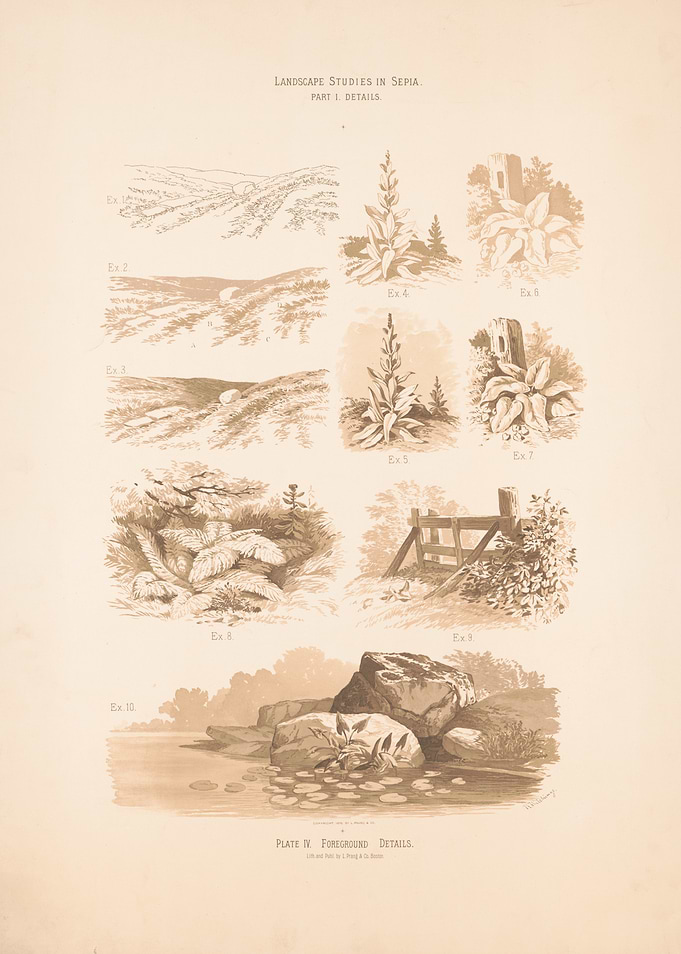 Landscape Studies in Sepia