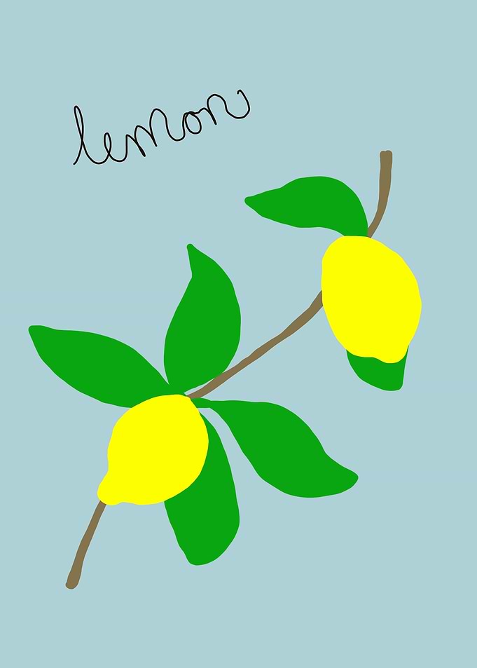 Hand-Drawn Lemons On a Branch