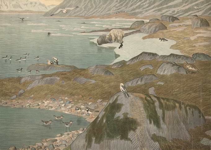 Arctic Wildlife Scene