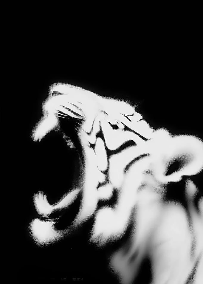 Roaring White Tiger Spray Paint Art