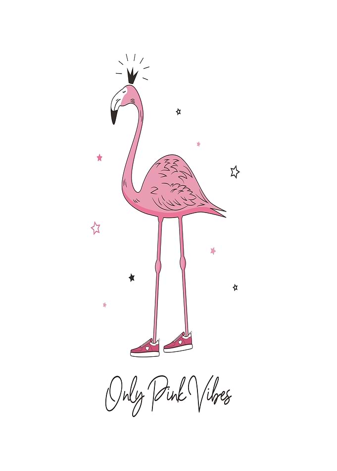 Pink Flamingo with Crown and Sneakers