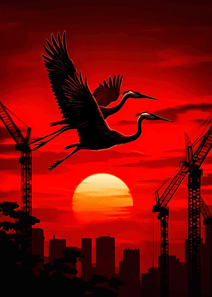 Cranes Flying Over Cityscape at Sunset