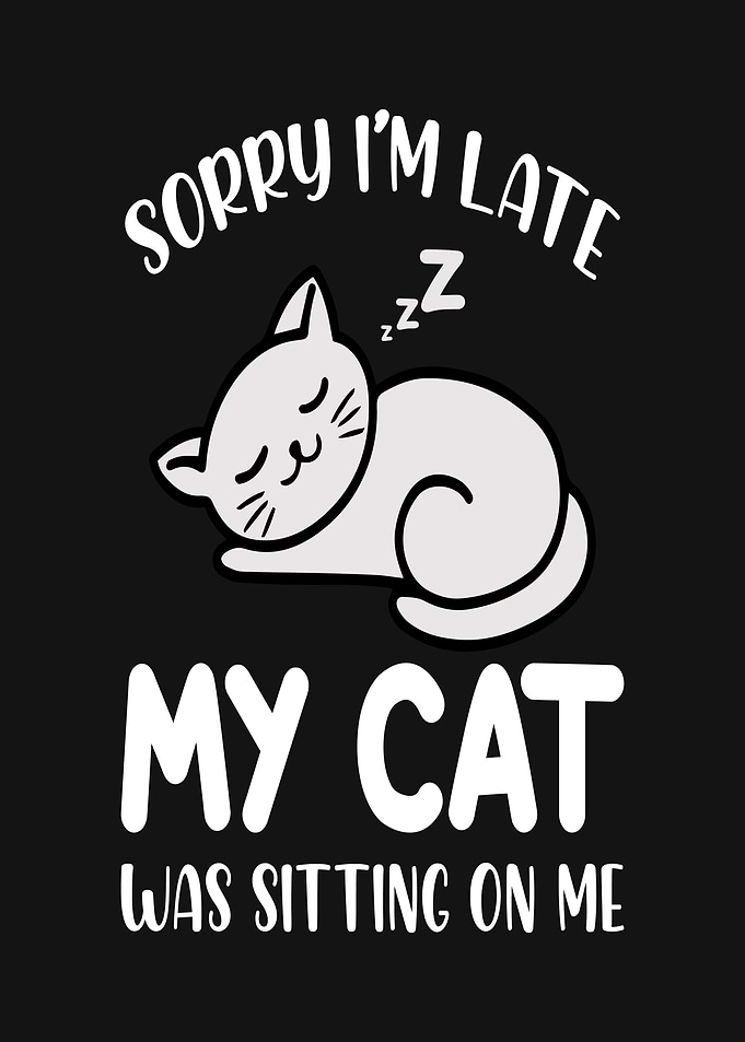 Funny Cat Sleeping Graphic
