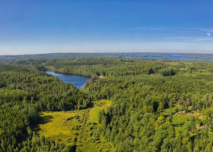 Aerial View of Forested Landscape with Lake