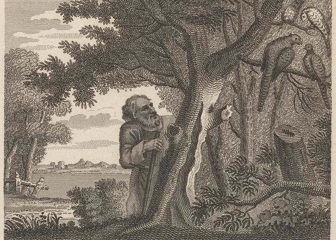 Man examining a tree in a landscape