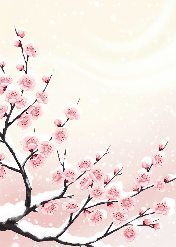 Cherry Blossoms in Snow