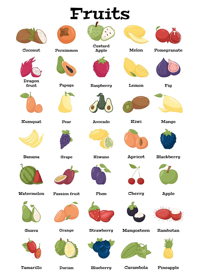 Illustrated Chart of Various Fruits