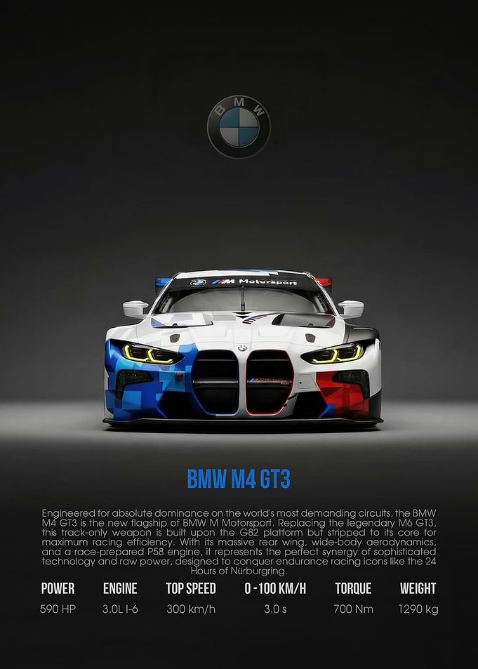 BMW M4 GT3 Race Car
