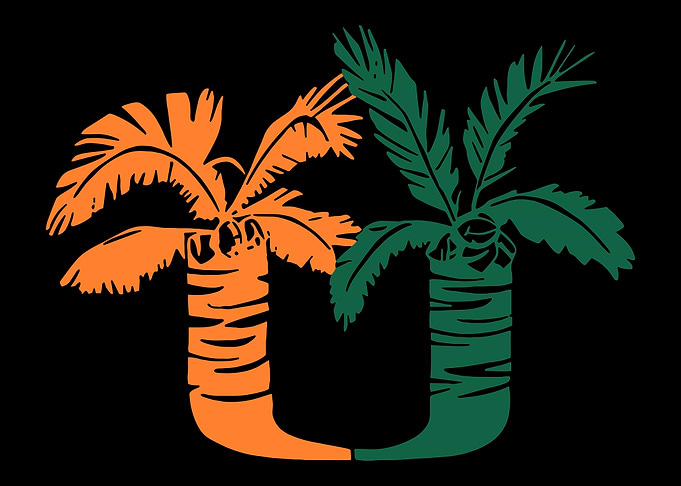 University of Miami Hurricanes Poster, Stylized U Palm Trees Art, Bold Sports Wall Print