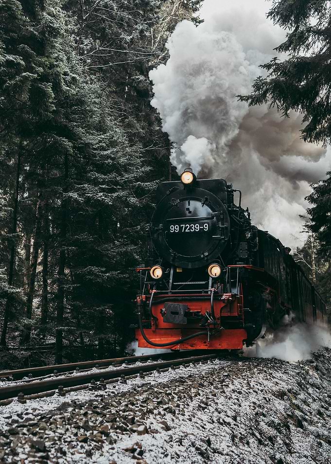 Steam Train in Snowy Forest