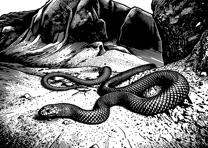 Snake in a rocky, sandy landscape