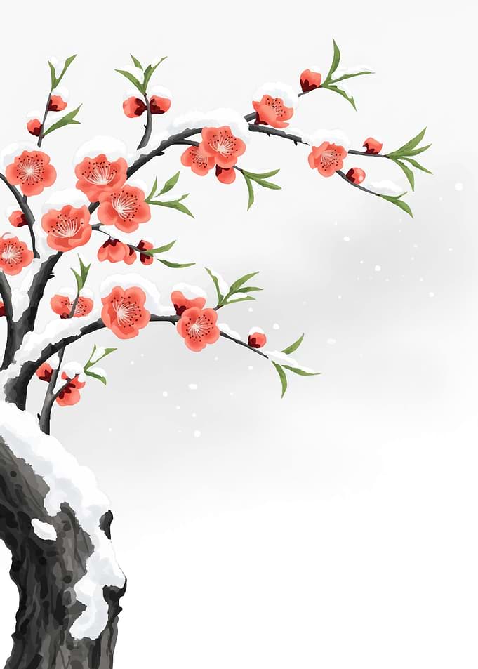 Snow-Covered Plum Blossoms