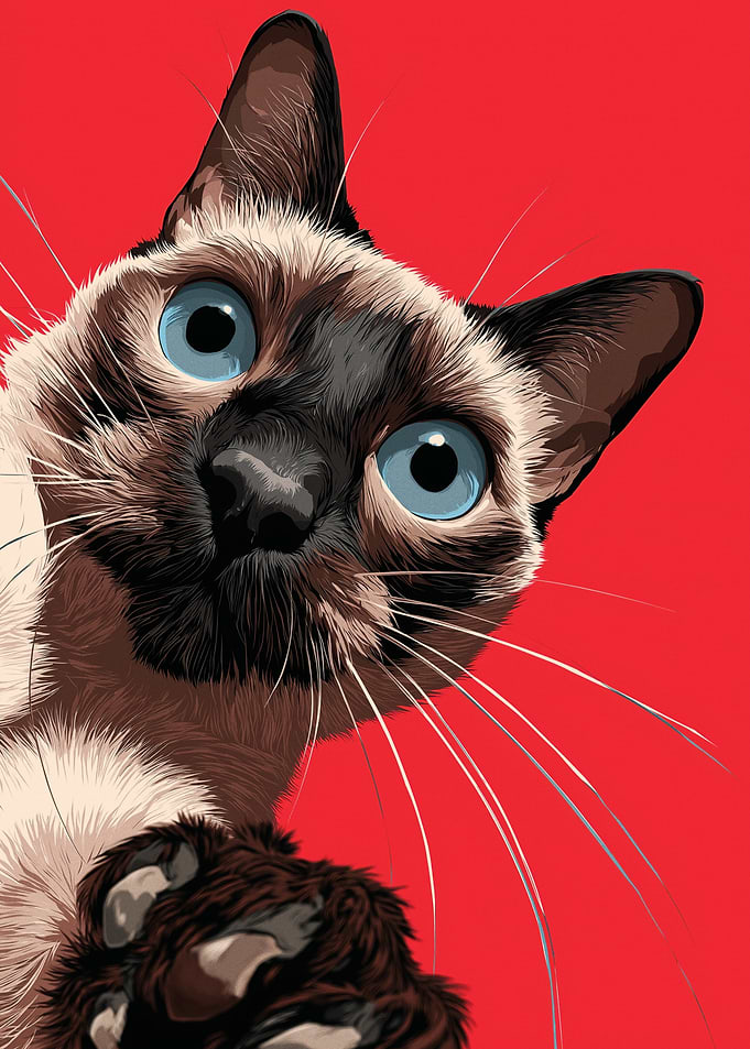 Siamese Cat with Blue Eyes