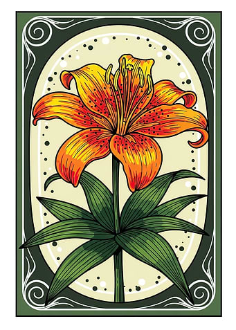 Vibrant Tiger Lily Illustration