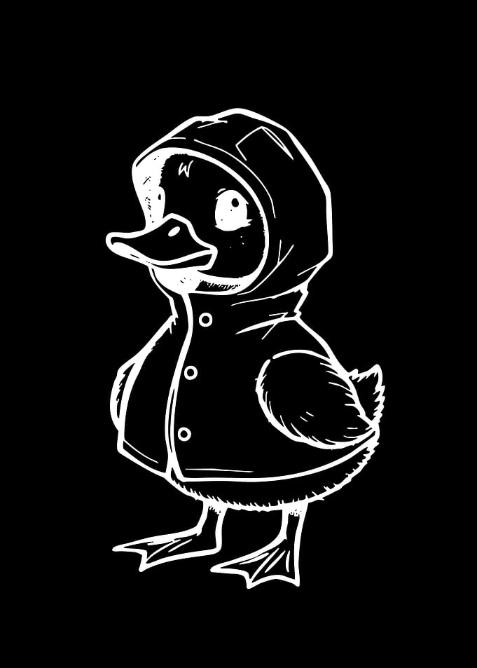 Cute Duckling in a Raincoat