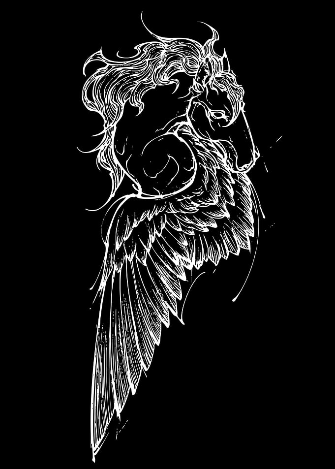 Pegasus Winged Horse Sketch
