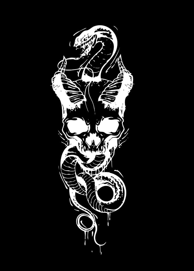 Skull and Snake Tattoo Design