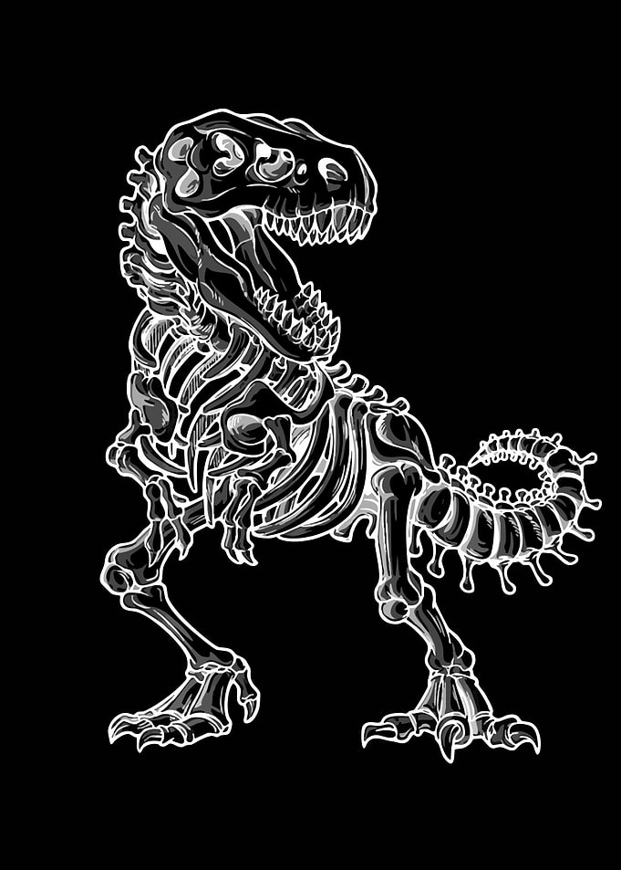 Dinosaur Skeleton Illustration