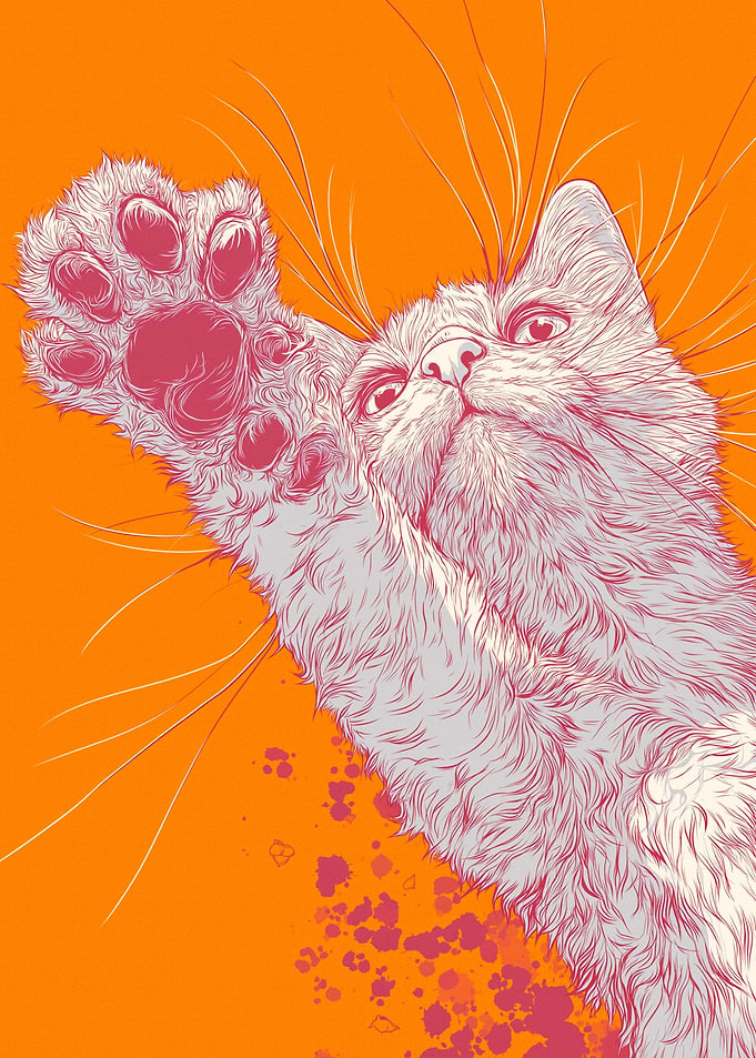 Close-up of a cat's paw and face