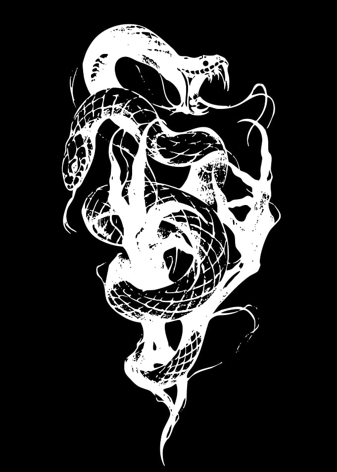 White Snake Illustration on Black Background