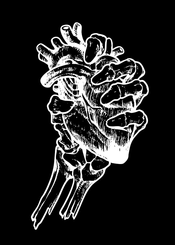 Skeleton Hand Holding a Heart