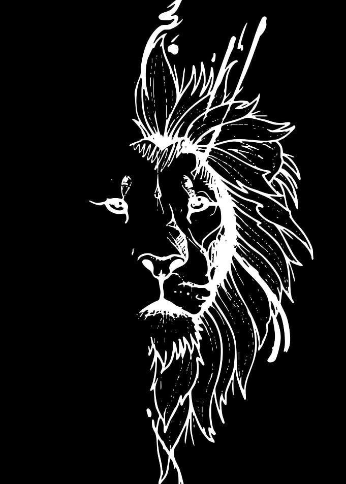 Half Lion Face Sketch