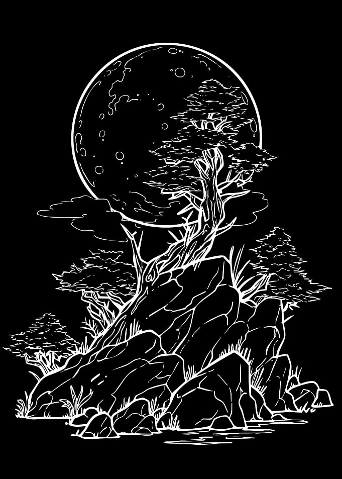 Moonlit Bonsai and Rocks