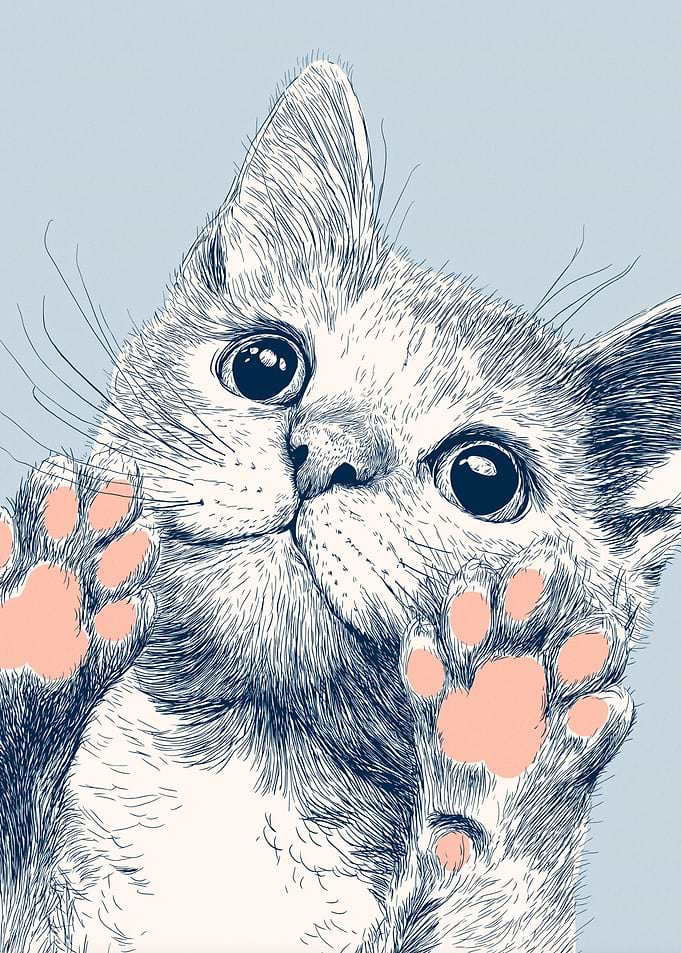 Kitten Peeking Through Glass