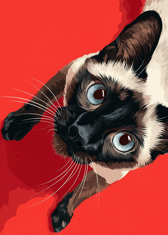 Siamese Cat with Blue Eyes
