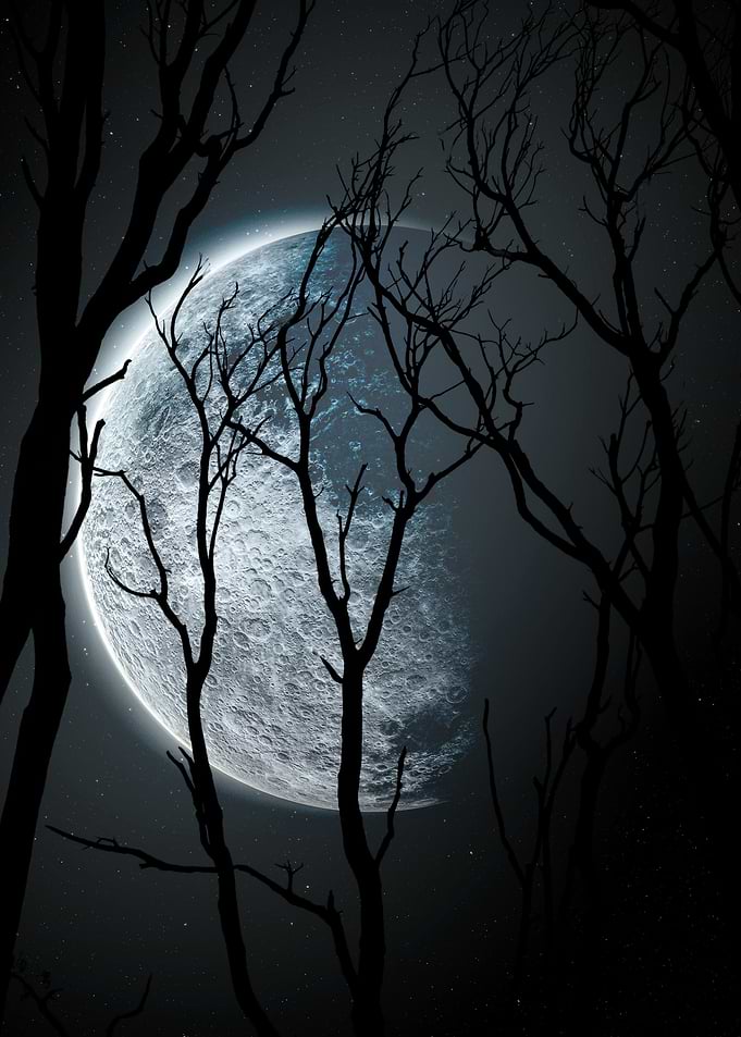 Spooky Moonlit Forest