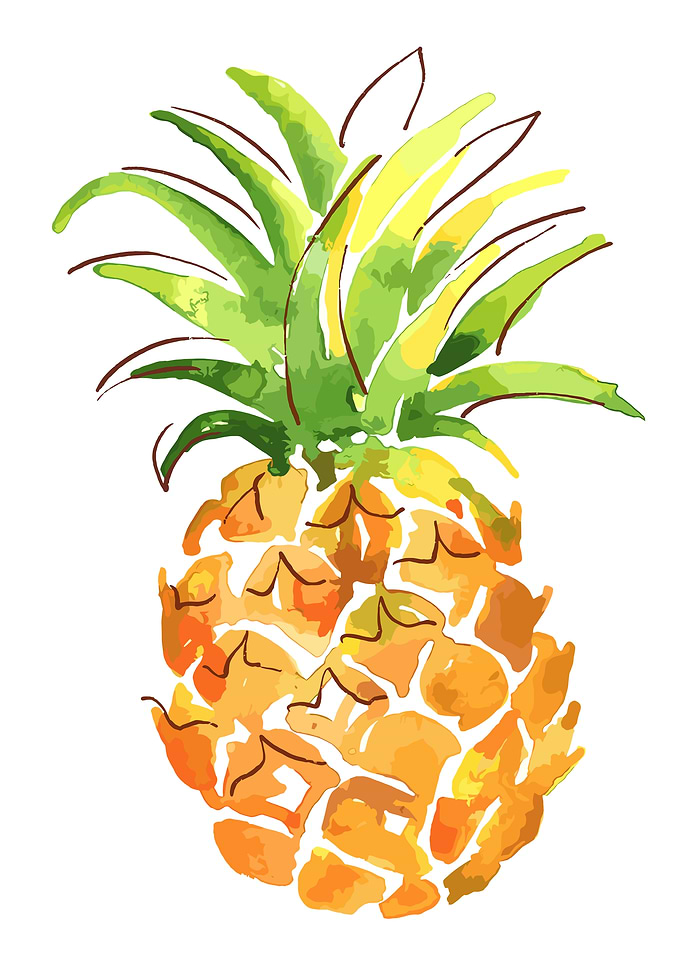 Watercolor Pineapple Illustration