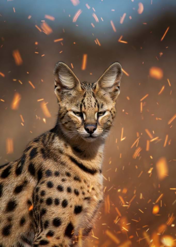 Serval Cat with Fiery Sparks