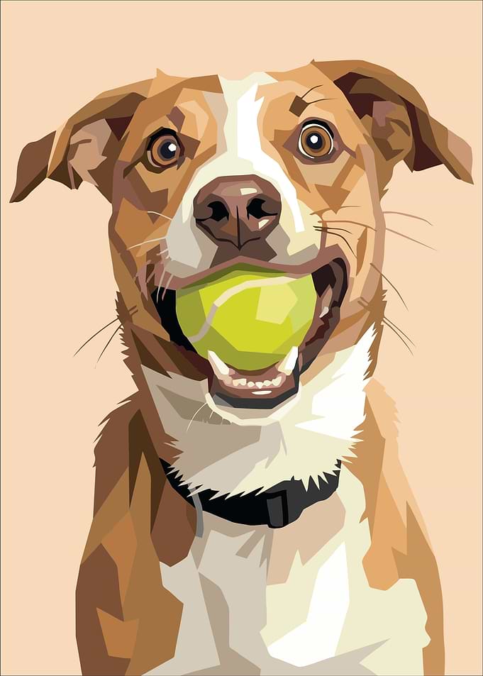 Happy Dog with Tennis Ball