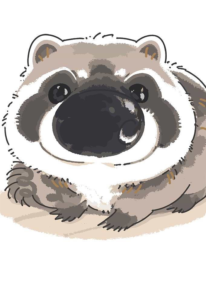 Cute Raccoon Illustration