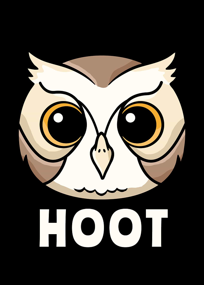 Cute Owl Face HOOT Kids Bird Kawaii Owl