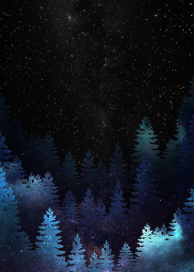 Starry Night Forest
