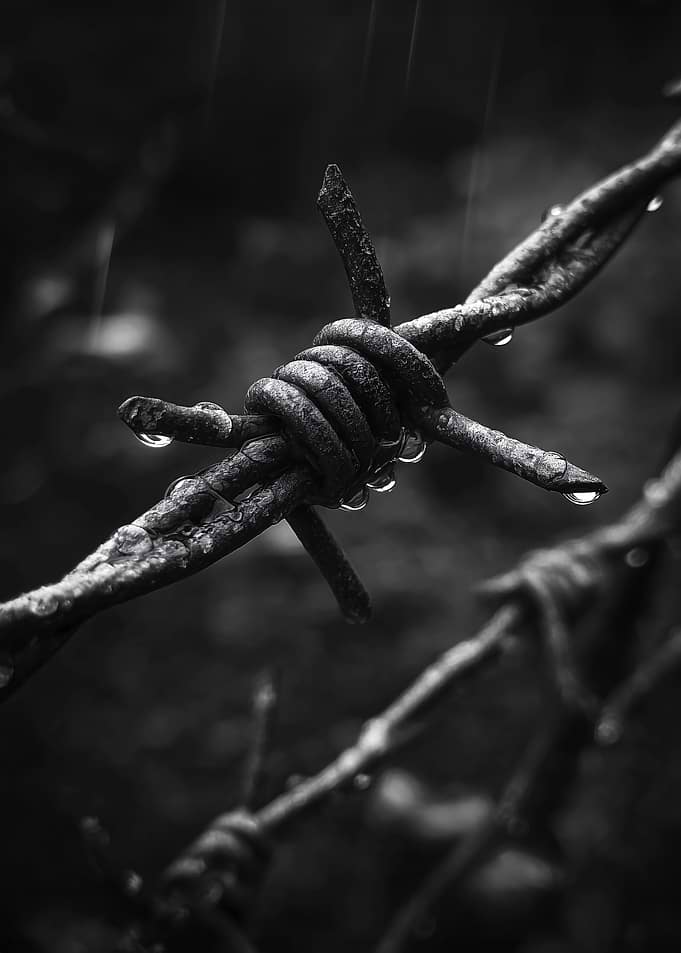 Barbed Wire with Water Droplets
